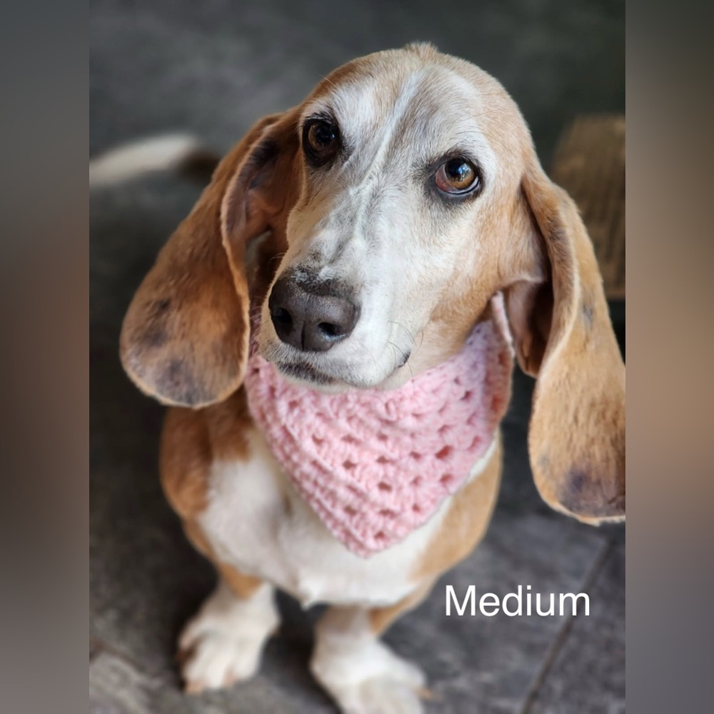 Crochet Pet Bandana Custom Order Listing - Picture 6 of 10